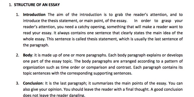 An Essay: Five Paragraphs