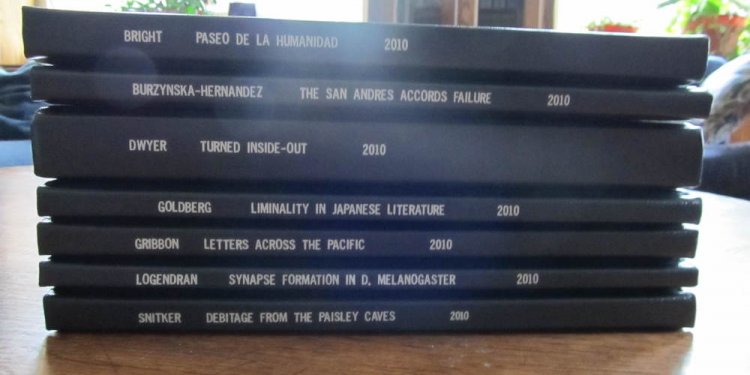 Undergraduate theses written