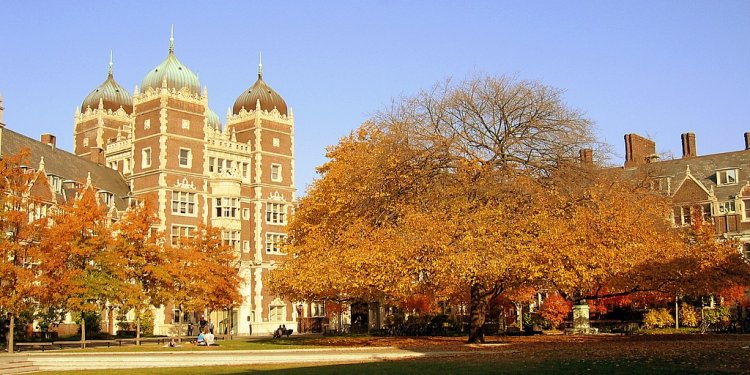 Essay Topics for college students