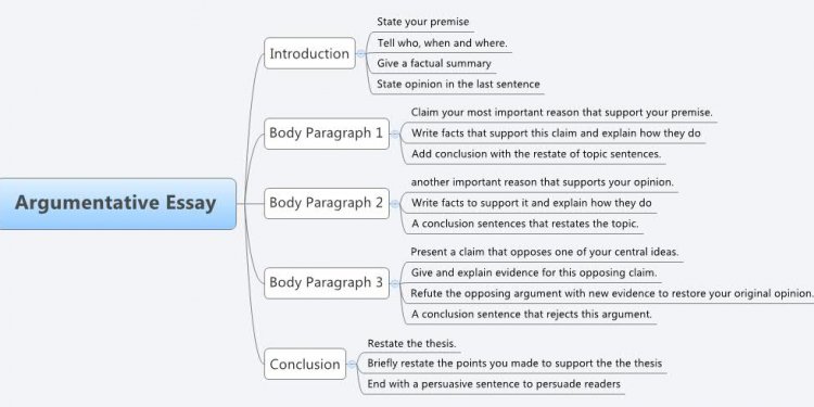 Argumentative essay structure Sample