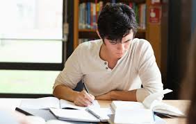 Best Essay Writing