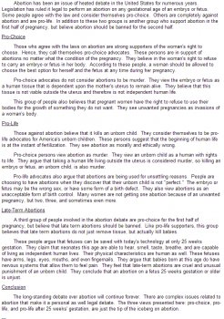 essay sample on abortion