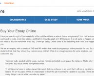 Custom essay writing reviews
